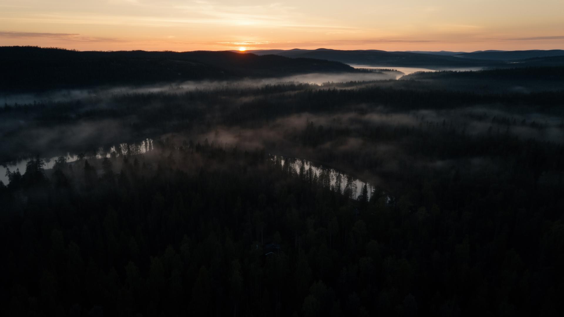Cinematisk drönarbild över Värmlands skogar i gryningen